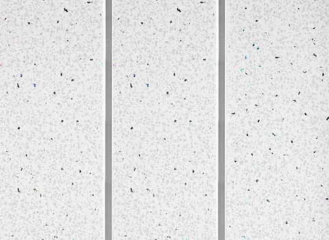 White Sparkle Twin Silver Strip